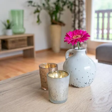 Dome Apartments-apartment Viva & Heaven Apartment Kaprun